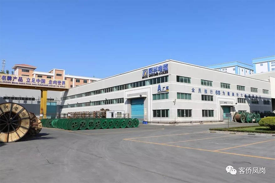 黨建引航 | 堅守初心與使命——  尊時凱龍接受鳳崗電視臺采訪和報道