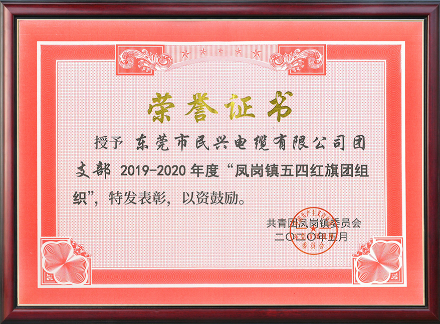  尊時凱龍團支部獲“鳳崗鎮(zhèn)五四紅旗團組織“稱號